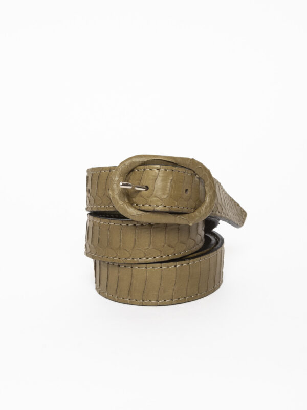 cintura 2,5 cm<span> - </span>beige