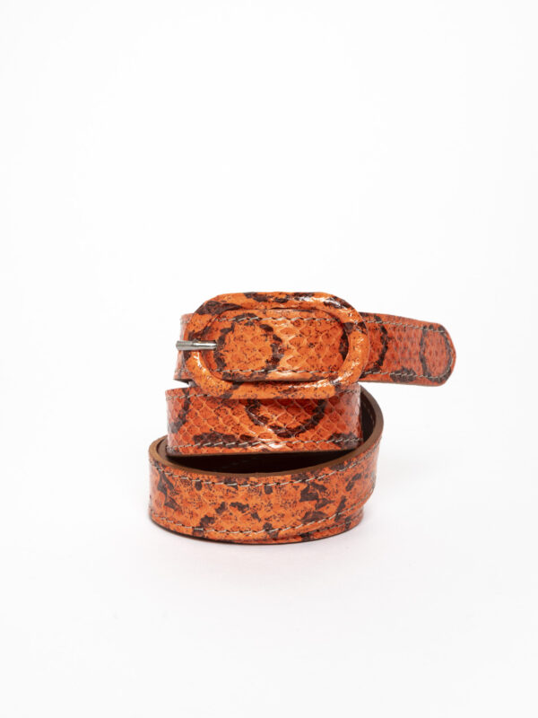 cintura 2 cm<span> - </span>arancio anelli